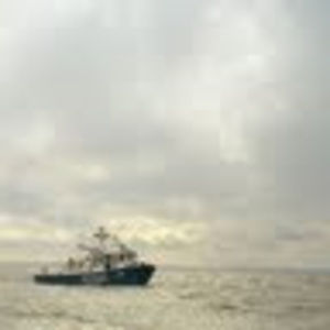 Meet your Posher, Nathan